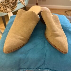 Ann Taylor Women's Tan Suede Mules